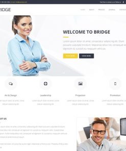 business web design service
