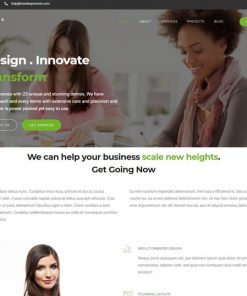 business web design service