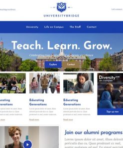 university web design service