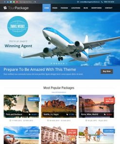 Travel Agency Web Design Services